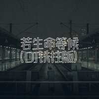 若生命等候 - DJ铁柱