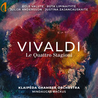 Violin Concerto in G Minor, RV 315 "L'estate": II. Adagio e piano – Presto e forte - Rūta Lipinaitytė & Mindaugas Bačkus & Klaipėda Chamber Orchestra & Антонио Вивальди