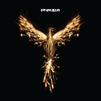 Phenix - Primate