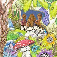 Dip in the Lake - Moonflowers