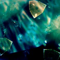 Wooden Structure - Wolfgang Lackerschmid & Andreas Suttner