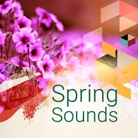 Symphony No. 8, D. 759: II. Andante con moto - Tbilisi Symphony Orchestra & Джансуг Кахидзе & Франц Шуберт