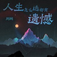 人生怎么选都有遗憾 - 刘纯