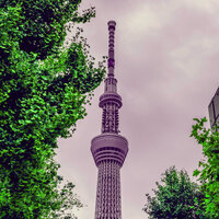 Casual (Music) - Java Jazz Cafe