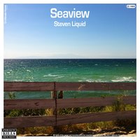 Seaview - Steven Liquid