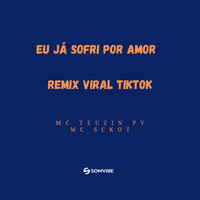 Eu Já Sofri por Amor Remix Viral Tiktok - MC Teuzin PV & MC Skcot & Dj Samir