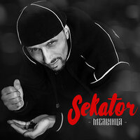 Опыты - Sekator & Н.Носков