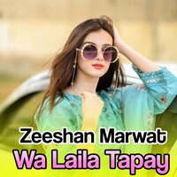 Zhra Me Wa Sawzi - Zeeshan Marwat