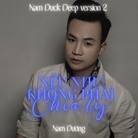 Nếu Như Không Phải Chia Ly - Nam Dương & Nam Duck