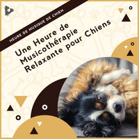 Sons calmes pour l'anxiété - Heure de Musique de Chien & Musique Relaxante pour Chiens & Musique Apaisante pour Chiots