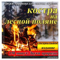 Тибетский поющие чаши для исцеления: звуки природы - Amadeus