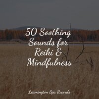 Ambient Noise - Shakuhachi Sakano & Meditation Music Club & Ambientalism