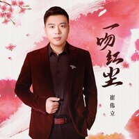 一吻红尘 - 崔伟立