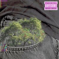 Ecossistema - Kenny & equi