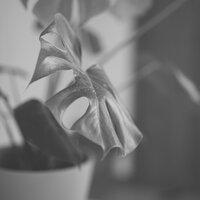 Number One Easy Listening Music - Vibe for Self Care - Calm Guitar Music Playlists