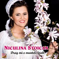 Unde-s anii tinereții - Niculina Stoican