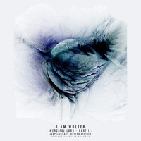 Merciful Lord - I Am Wolter & Jaap Ligthart