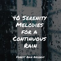 Wind, Strong, Forest, Light Debris, Leaves, Rain - Sleep Recording Sounds & Nature Sound Series & Musique Zen Garden