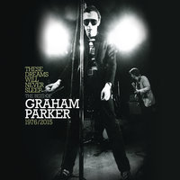 What Do You Like? (with Punch Brothers) - Graham Parker & Punch Brothers