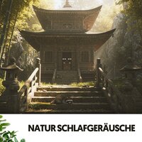 Melodische Regenkaskade - Solfeggio Frequencies 528Hz & The Nature Soundscapes & Entspannungsmusik