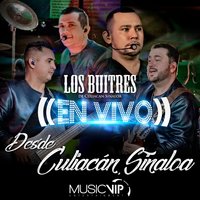 Corrido de Javier - Los Buitres De Culiacán Sinaloa