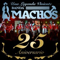 ¿Qué será de mi vida? - Banda Machos