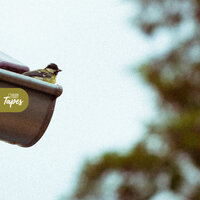 Meant To Be - Lovers Hifi & Golden Ticket Tapes