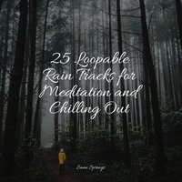 Jungle, Evening, Quiet, Birds - Sound of Rain & Yoga Rain & Sonidos de la Naturaleza Relax