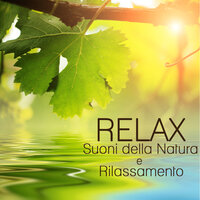Suono del Mare in una Caverna - Relax, Rilassamento, Wellness e Musica