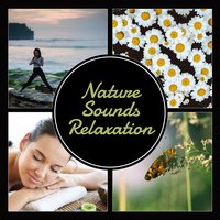 Blissful Calm for Meditation - Hypnosis Nature Sounds Universe