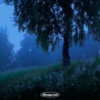 The Tale of Tsar Saltan, Op. 58, Act III: "The Flight of the Bumblebee" - Atemporal Classics & Николай Римский-Корсаков