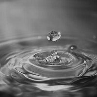 Melody of the Sea - Loman