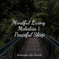 Sailing Beyond Horizons - Nature Sounds Collection & Relaxing Sounds of Nature & Ambiente