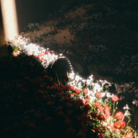 Himno De Los Cielos - Bethel Music & Brian Johnson & Zahriya Zachary