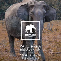 Renacer - Pato Rapa & Federico Bell