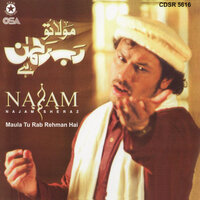 Hamari Pehchan - Najam Sheraz