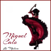 Que Te Importa Que Te Llore - Miguel Calo