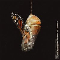 All Your Love - Flight Facilities & Dustin Tebbutt