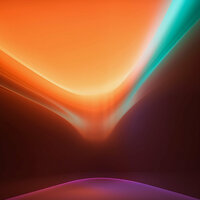 Stargazer - CANON & Loyal