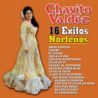 Dos Hojas Sin Rumbo - Chayito Valdez