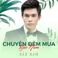 Tình bơ vơ - Bảo Nam