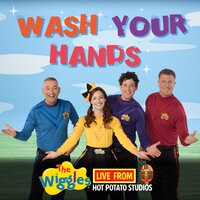 Ready, Steady, Wiggle! - The Wiggles