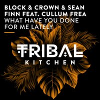 What Have You Done for Me Lately - Block & Crown & Sean Finn & Culum Frea