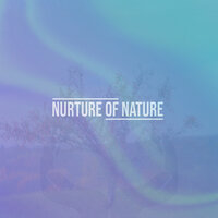 Midnight Surge (Ocean) - Nurture of Nature