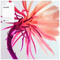 Bloom - EDX