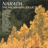 Return To Emerald Forest - Richard Souther