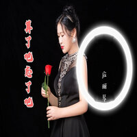 算了吧忘了吧 - 应丽琴