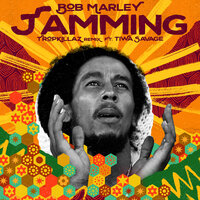 Jamming - Bob Marley & The Wailers & Tiwa Savage & Tropkillaz