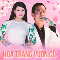 Tình Như Trái Đắng - Chế Phong