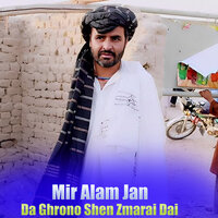 Zama Lalai Dai - Mir Alam Jan